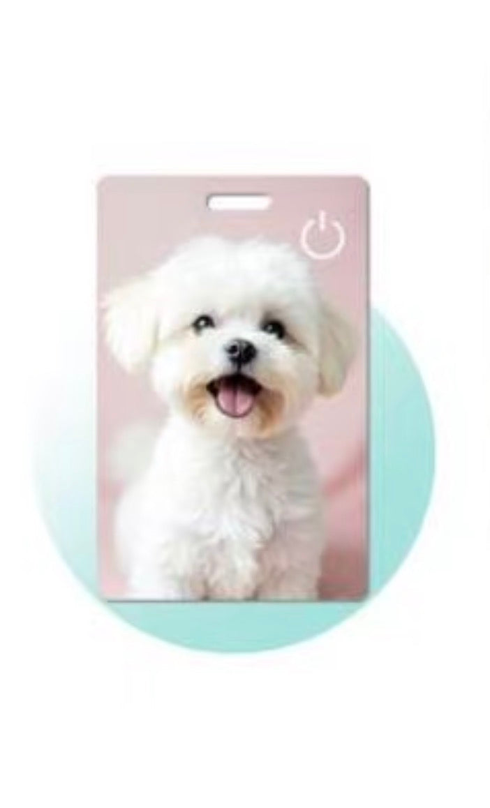 Dispositivo Anti-smarrimento Ultra Slim Ricaricabile Wireless Compatibile con Apple Find My Ideale per Portafoglio Zaino Portachiavi Automezzi Elegante e Sottile 1,7 mm Tracciamento Preciso. smart tracker